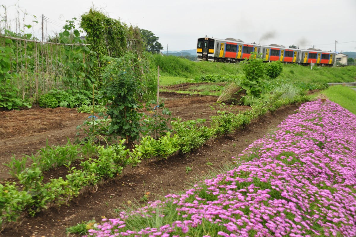 水郡線・野上原