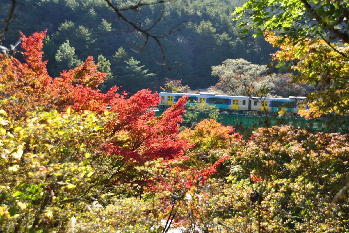 水郡線・矢祭山