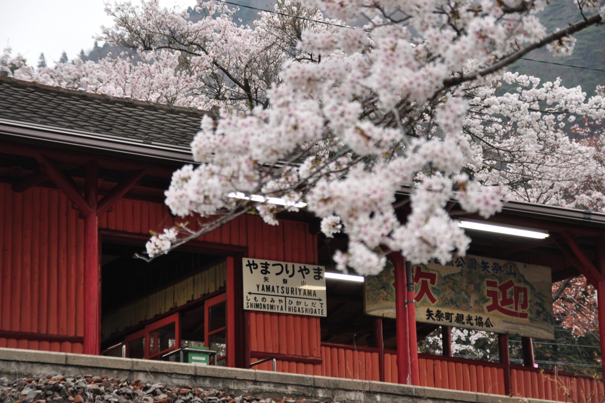 桜・水郡線・矢祭山
