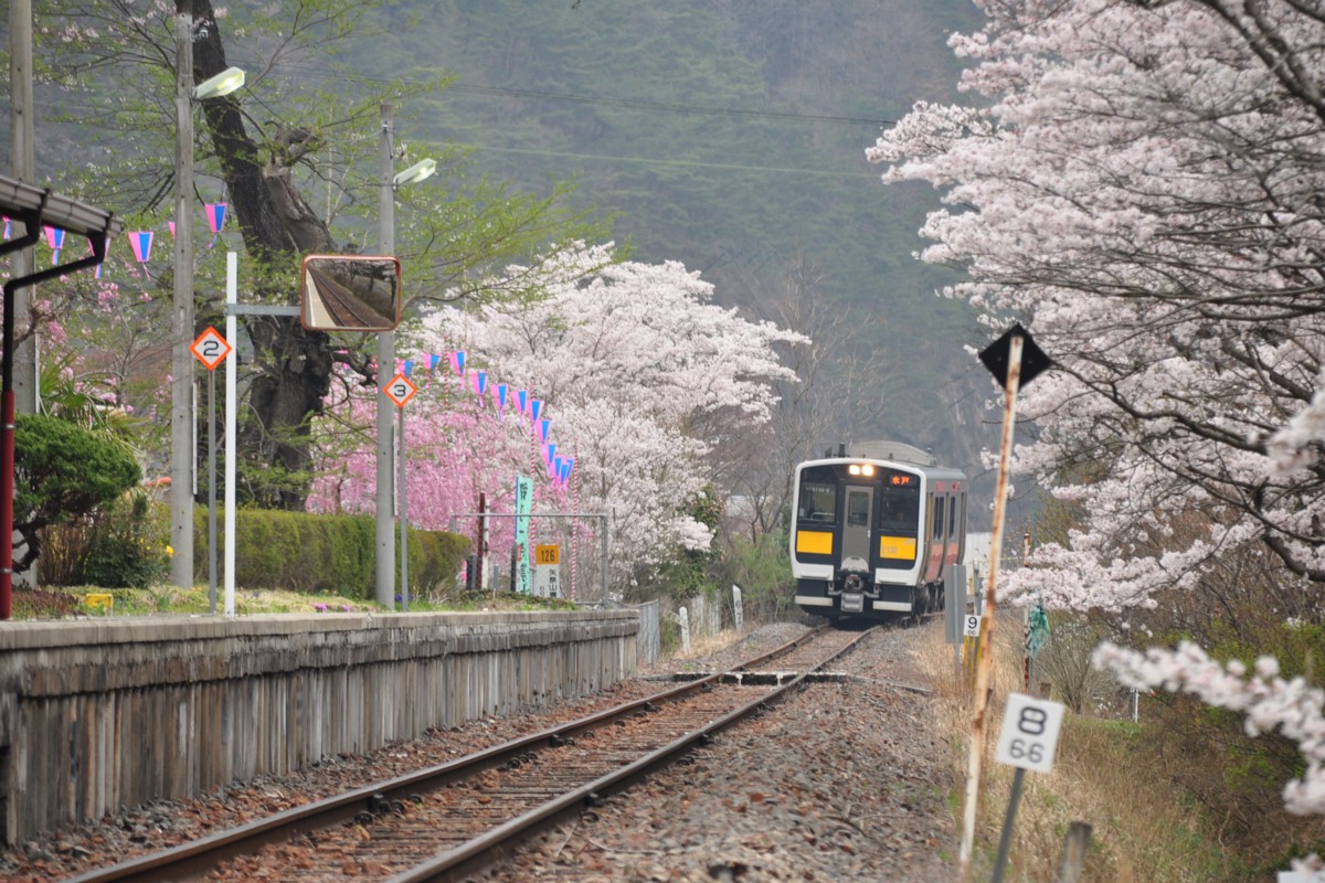 桜・水郡線・矢祭山