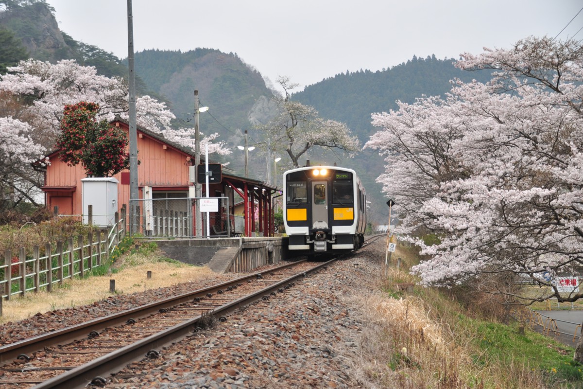 桜・水郡線・矢祭山