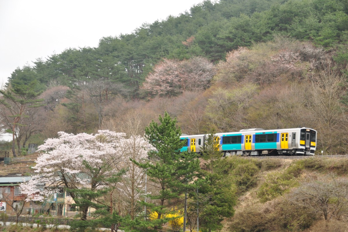 桜・水郡線・矢祭山－東館
