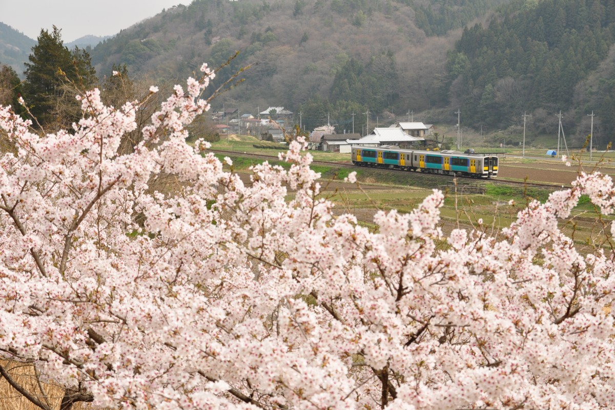 桜・水郡線・下野宮－矢祭山