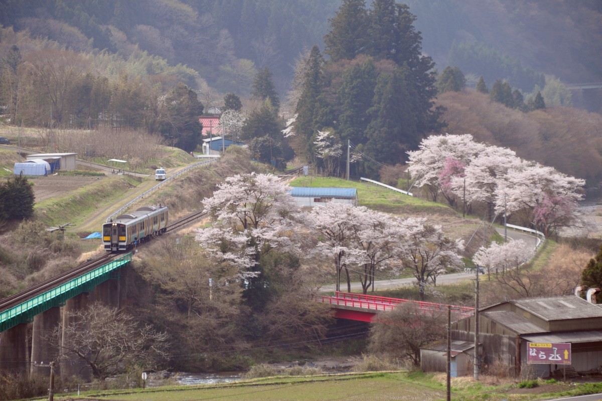 桜・水郡線・下野宮－矢祭山