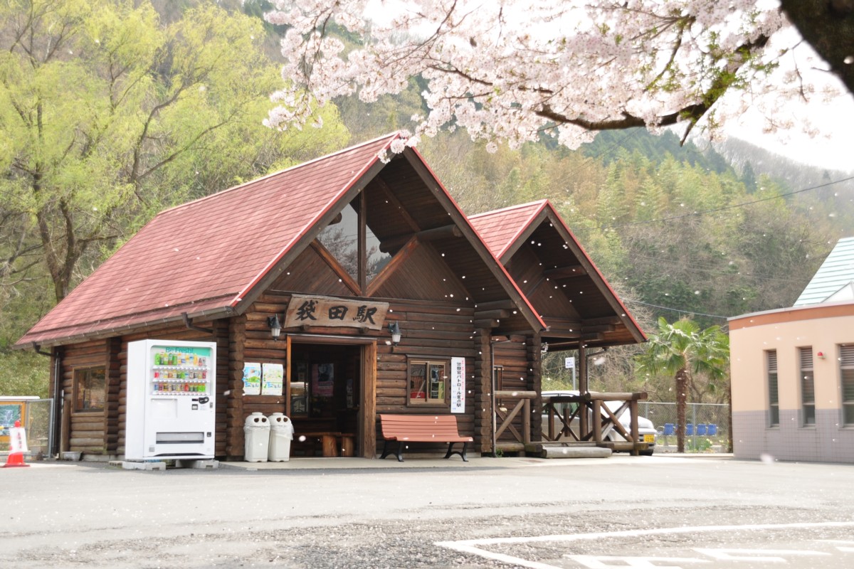 桜・水郡線・袋田
