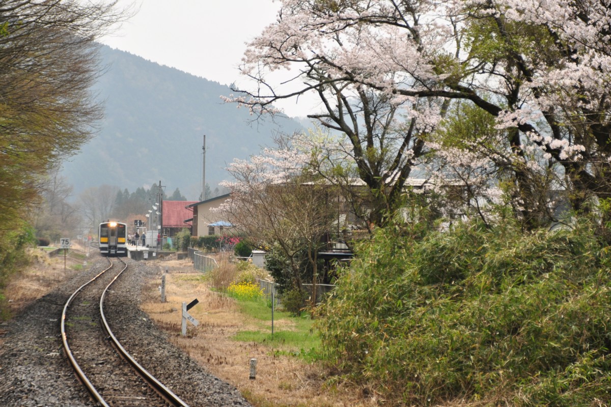 桜・水郡線・袋田
