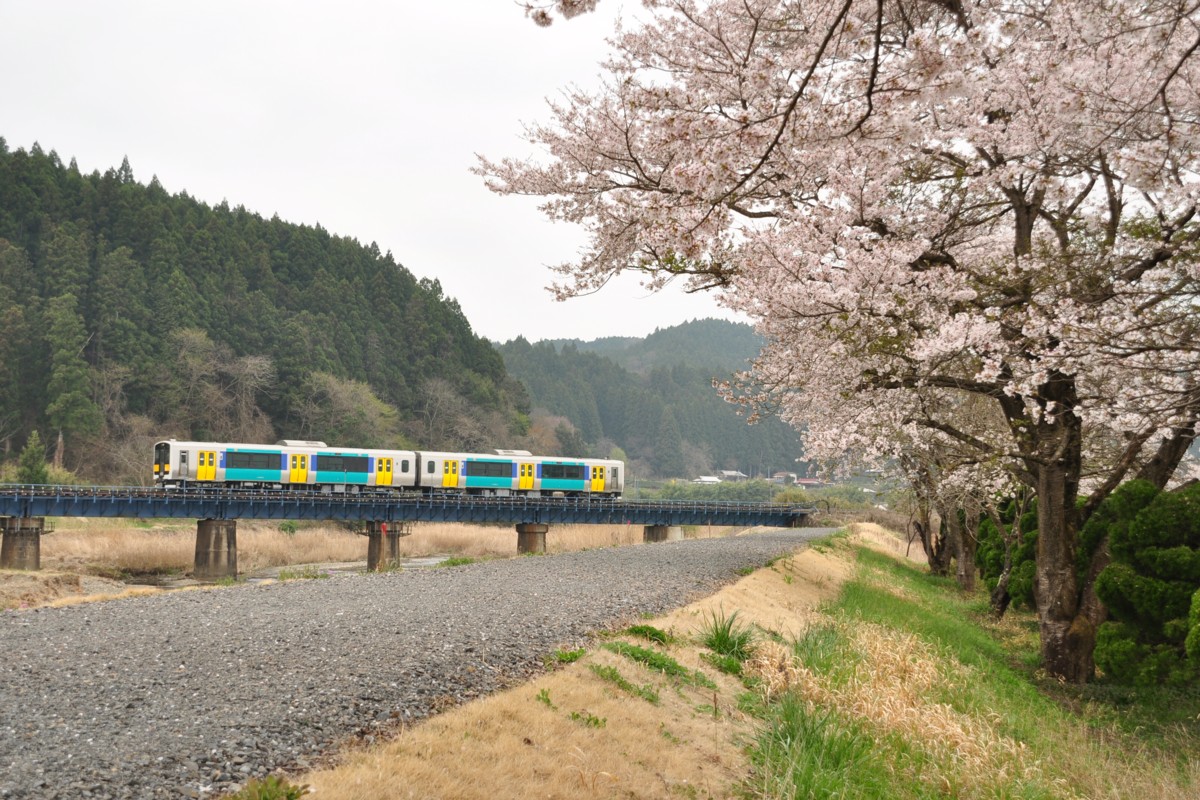 桜・水郡線・袋田－常陸大子