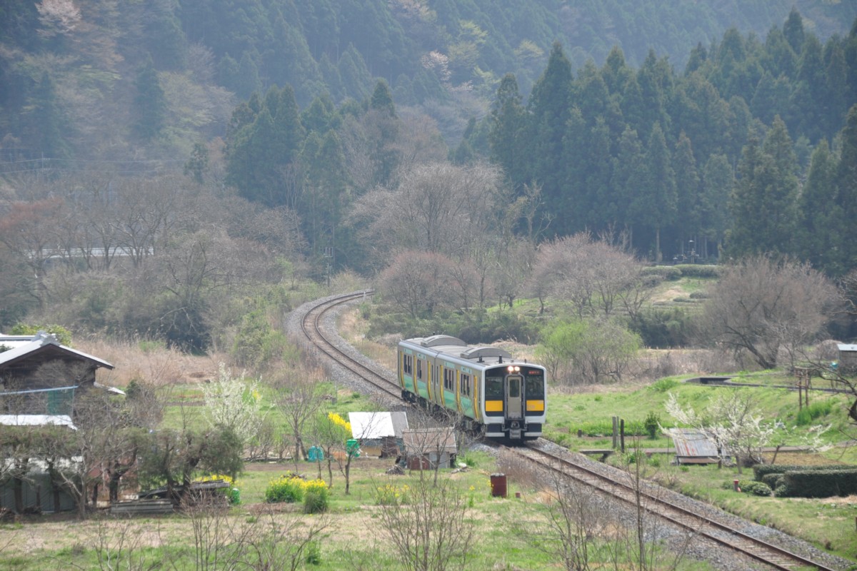 桜・水郡線・上小川－袋田