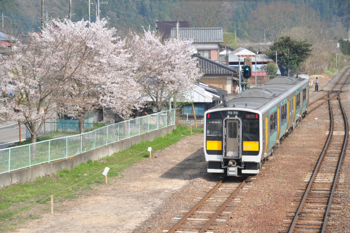 桜・水郡線・上小川