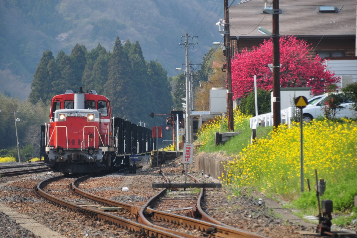 桜・水郡線・西金