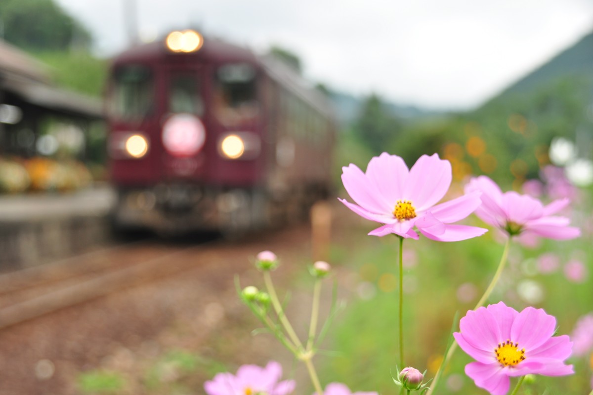 わたらせ渓谷鐡道・上神梅