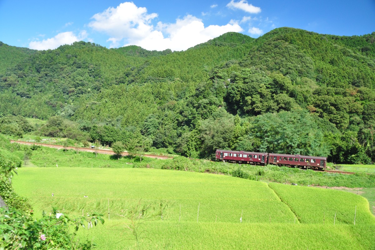 わたらせ渓谷鐡道・上神梅