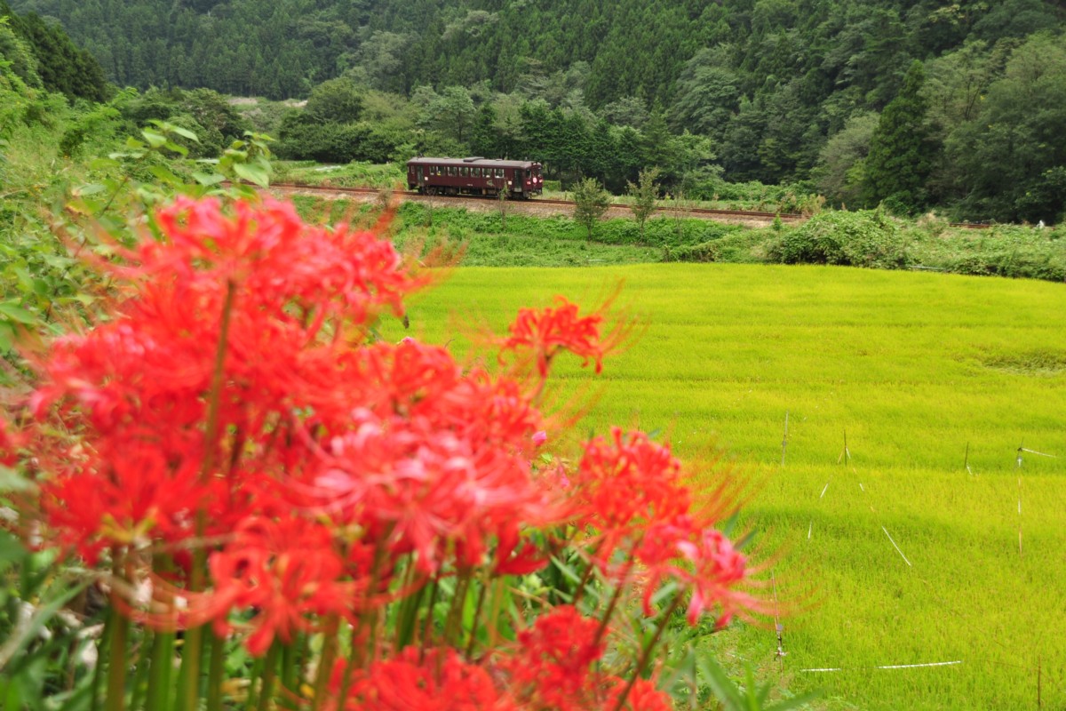わたらせ渓谷鐡道・上神梅