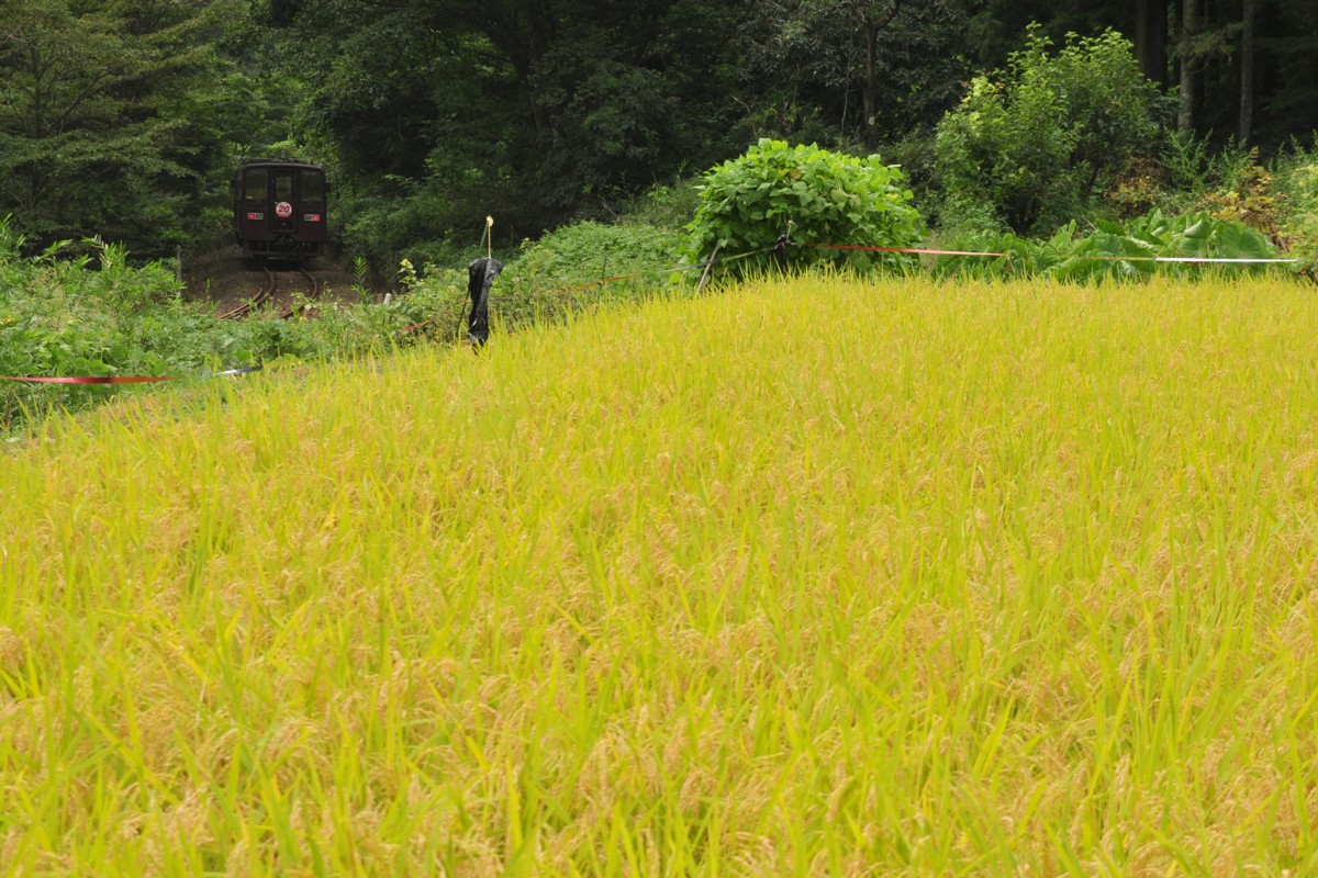 わたらせ渓谷鐡道・中野－小中