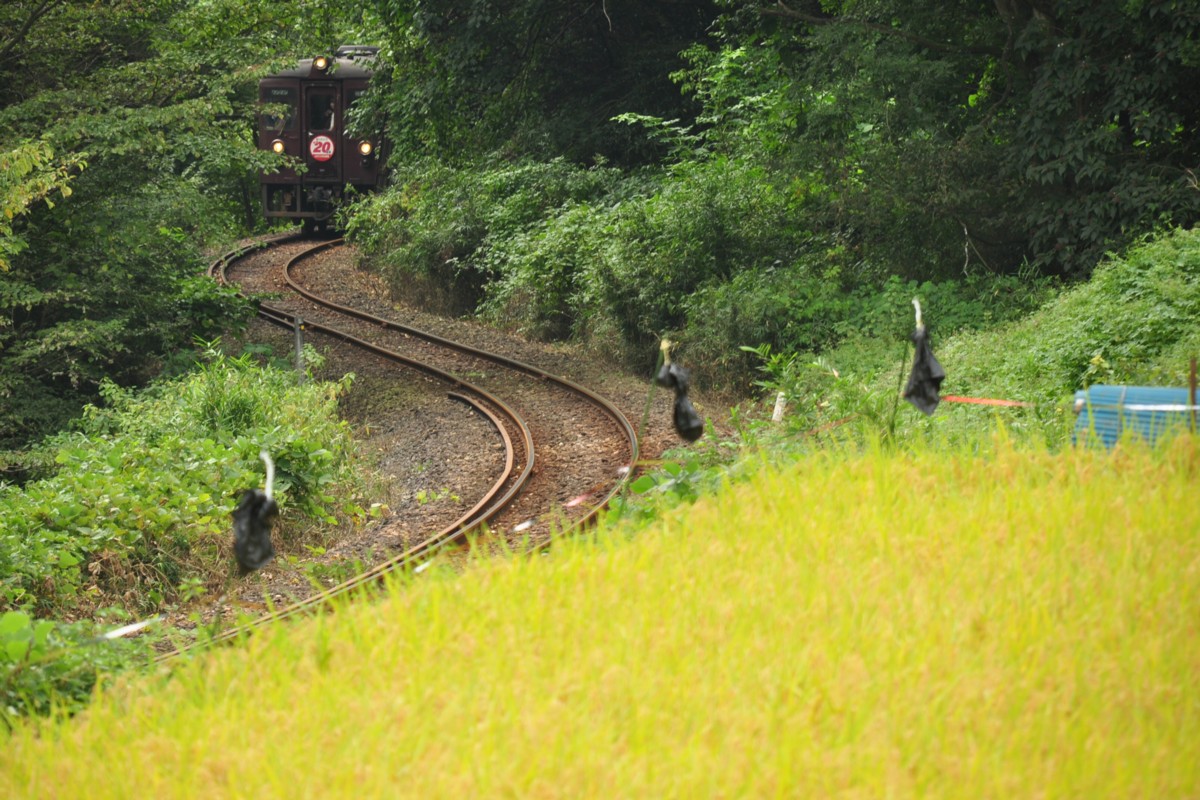 わたらせ渓谷鐡道・中野－小中