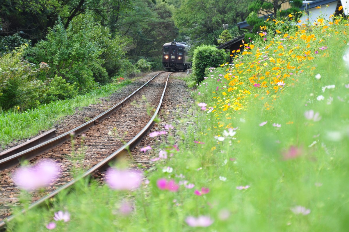 わたらせ渓谷鐡道・中野－小中