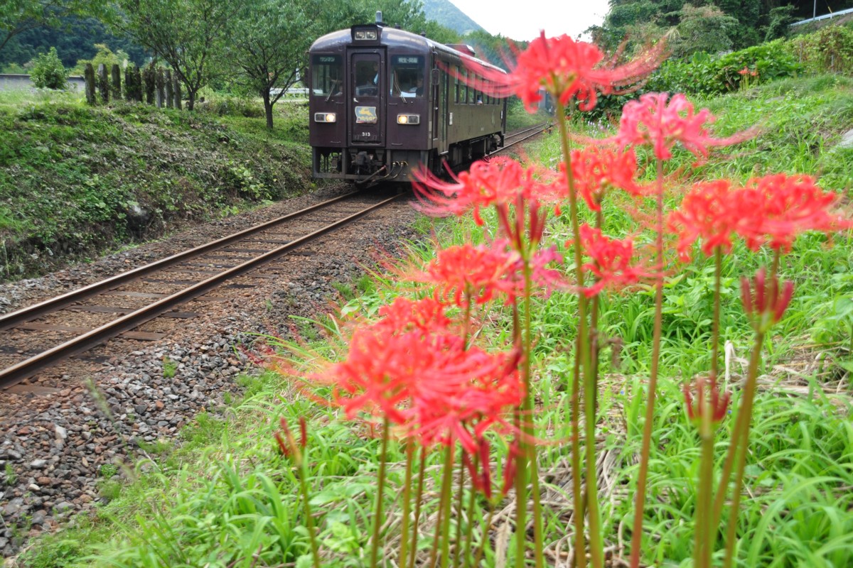 わたらせ渓谷鐡道・神戸－沢入