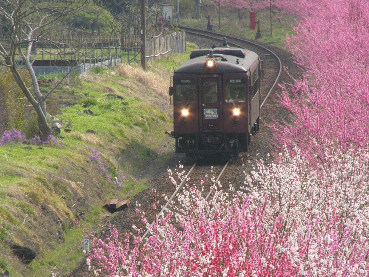 わたらせ渓谷鐡道・神戸－沢入