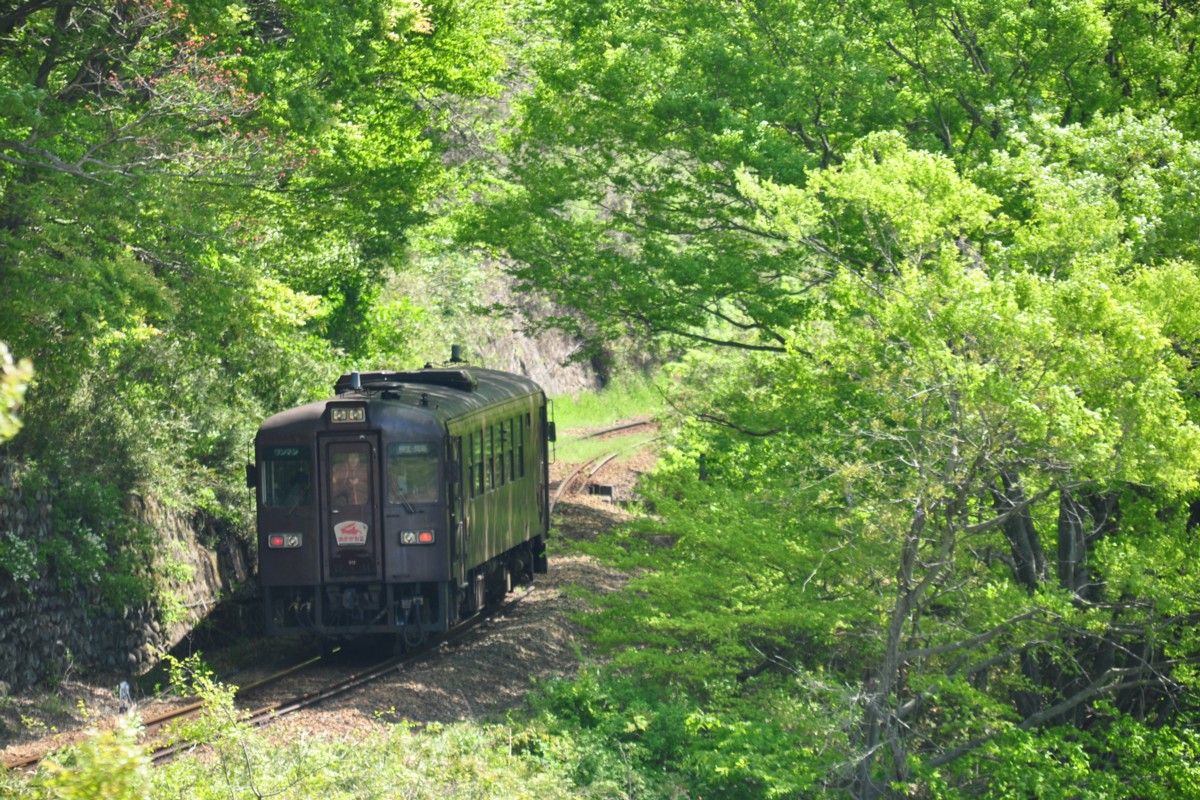 わたらせ渓谷鐡道・小中－神戸