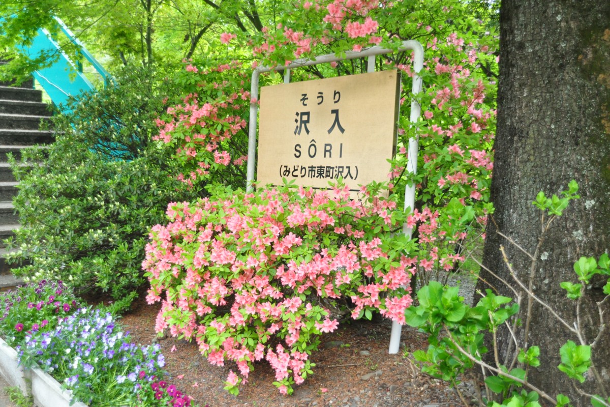 わたらせ渓谷鐡道・沢入