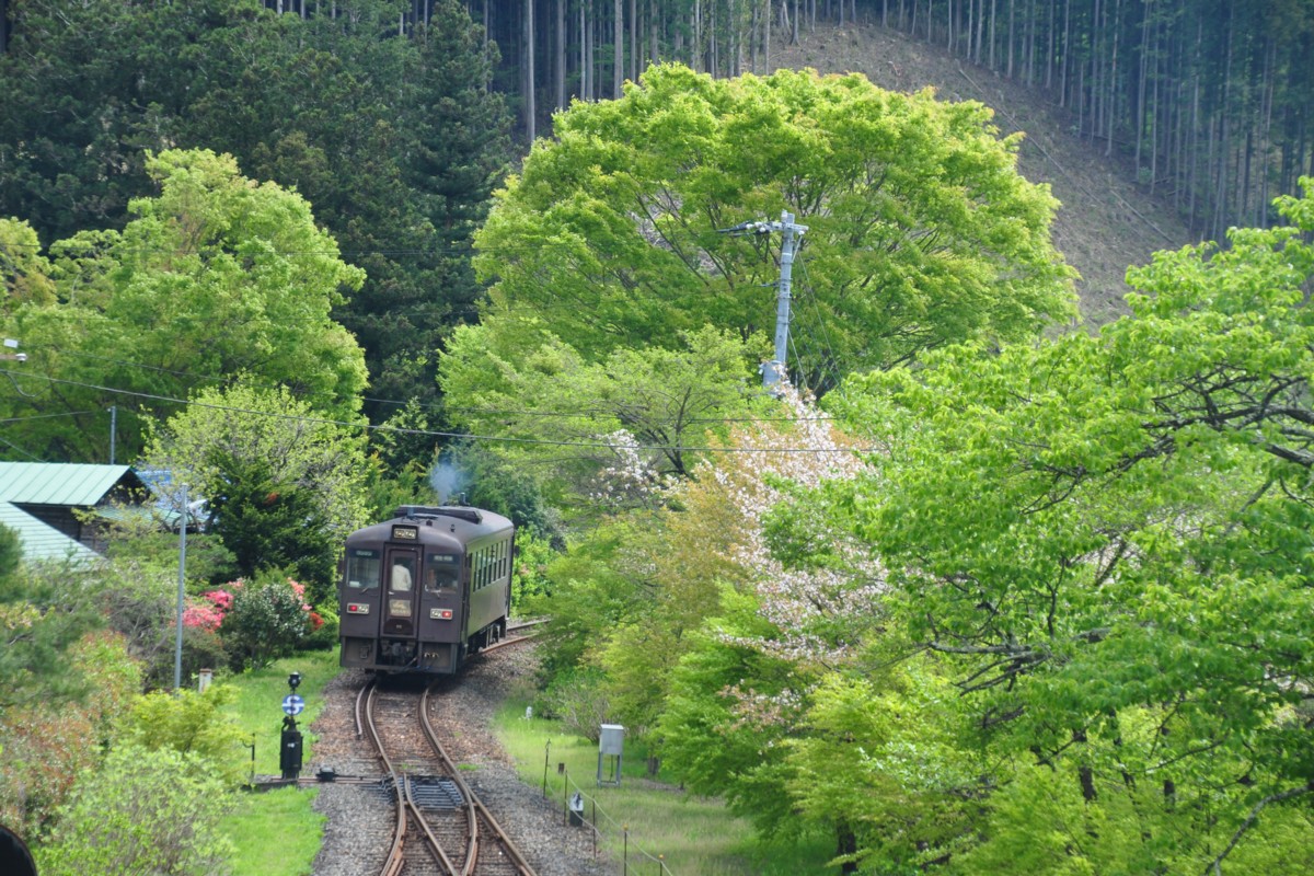 わたらせ渓谷鐡道・沢入