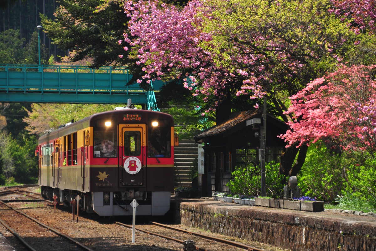 わたらせ渓谷鐡道・沢入