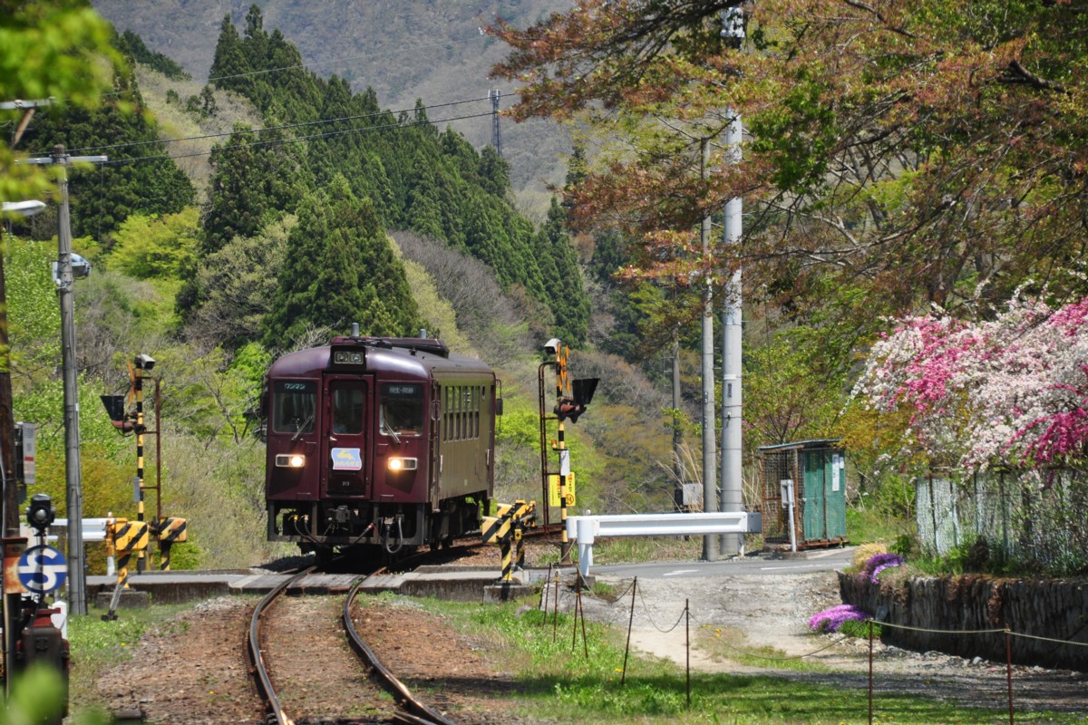 わたらせ渓谷鐡道・沢入