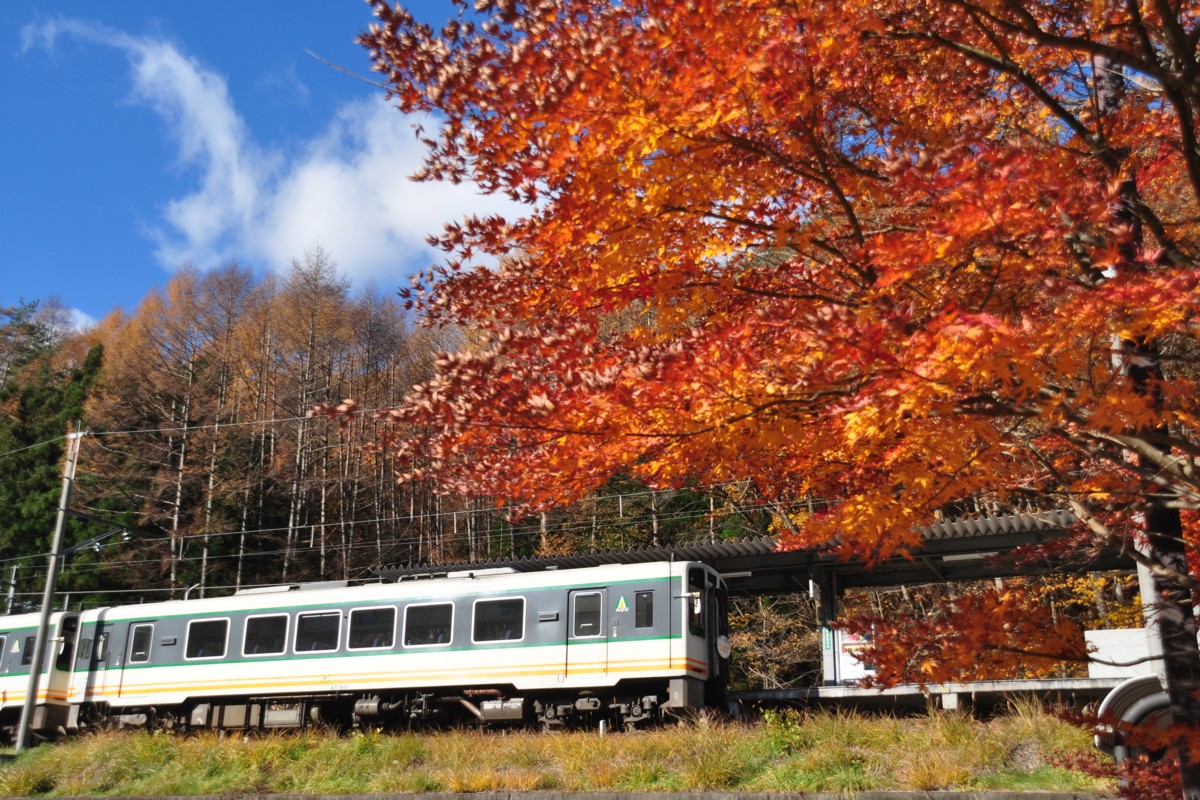撮影・紅葉・野岩鉄道・上三依塩原温泉口