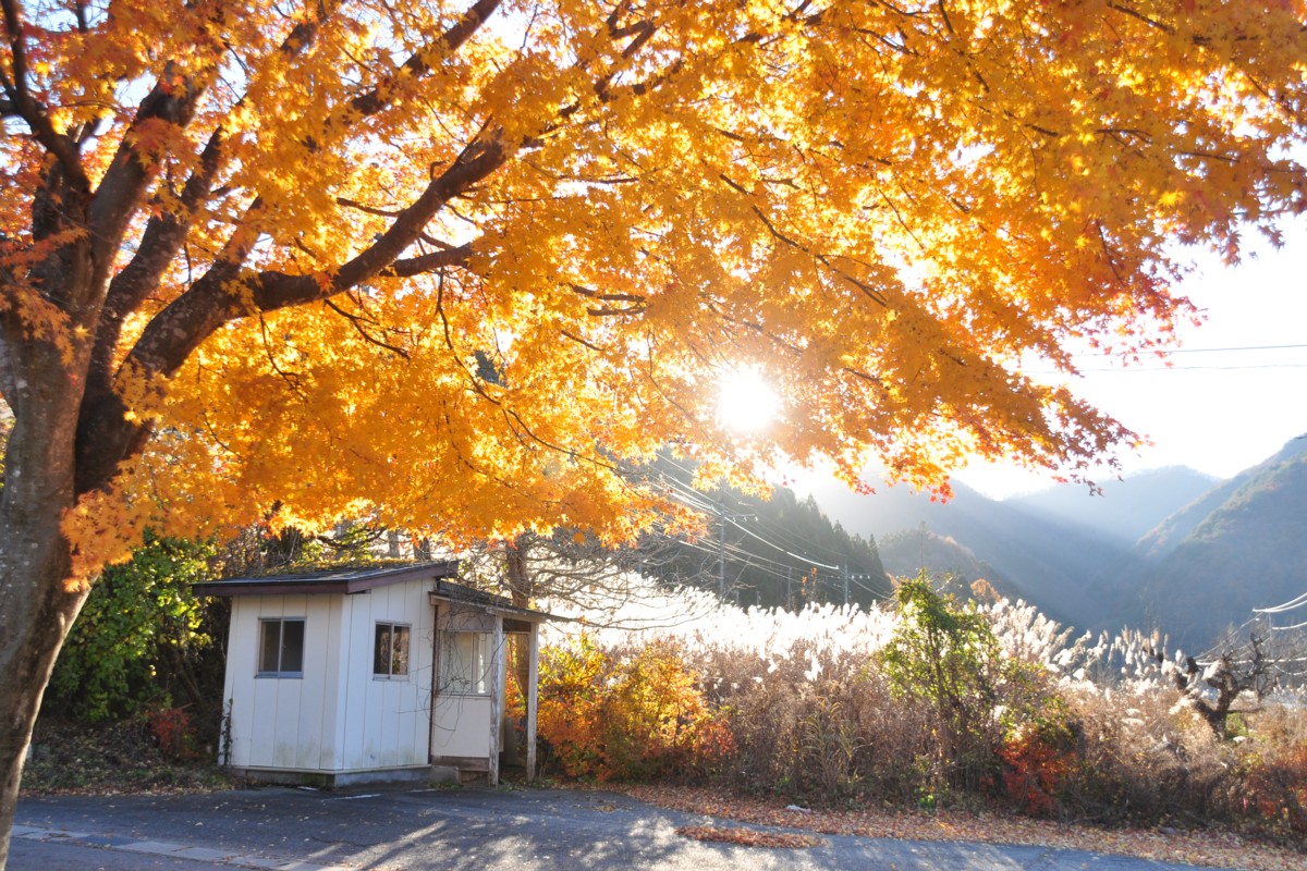 撮影・紅葉・野岩鉄道・中三依温泉