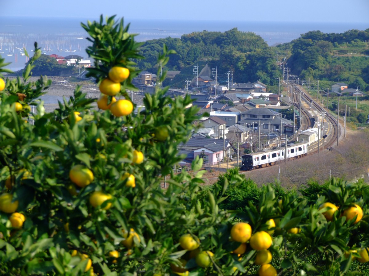 撮影・長崎本線・肥前飯田