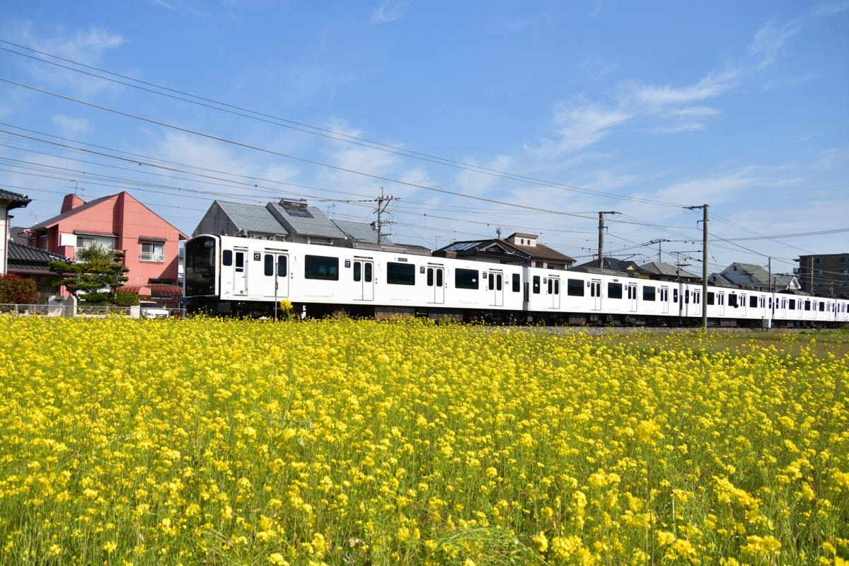 鉄道写真・春・菜の花・撮影地：筑肥線・周船寺－波多江