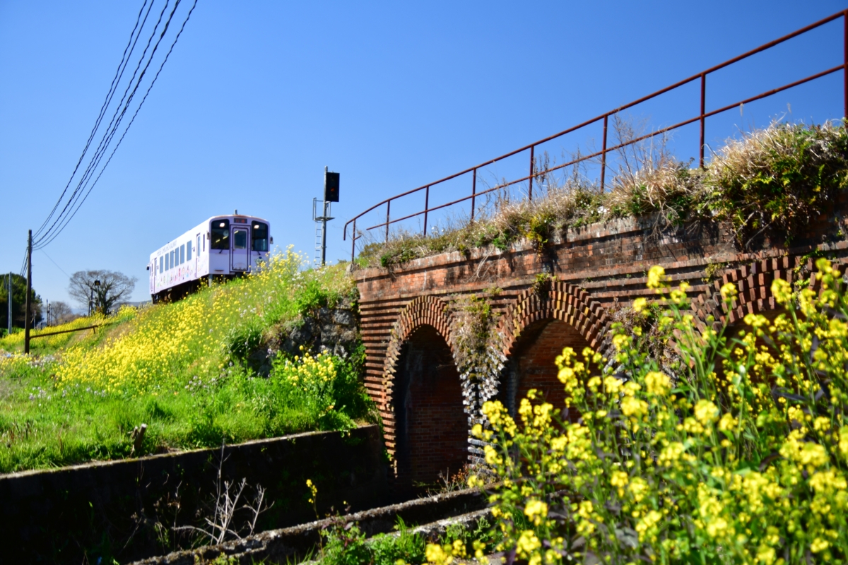 撮影・春・菜の花・平成筑豊鉄道・勾金－上伊田
