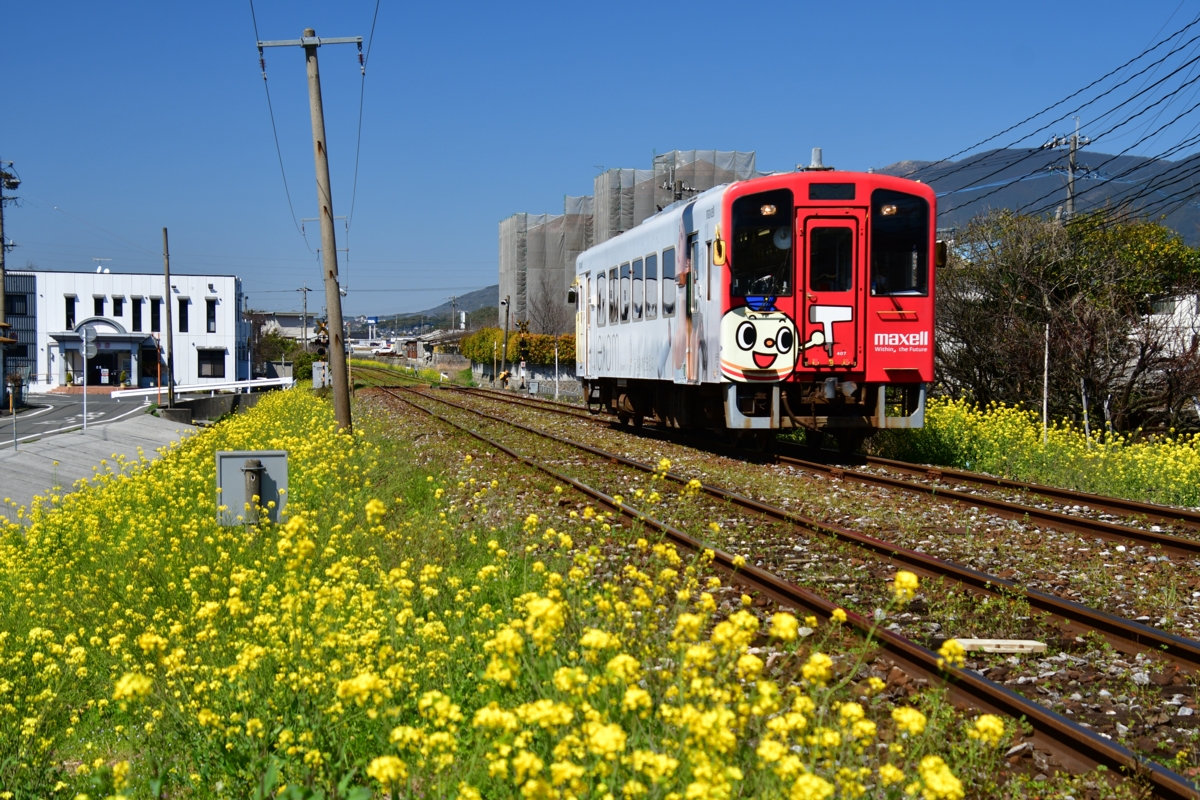 撮影・春・菜の花・平成筑豊鉄道・田川伊田－下伊田