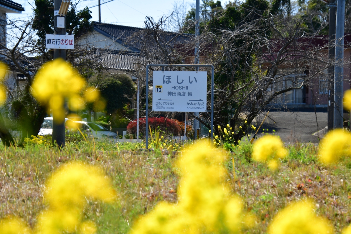 撮影・春・菜の花・平成筑豊鉄道・糒