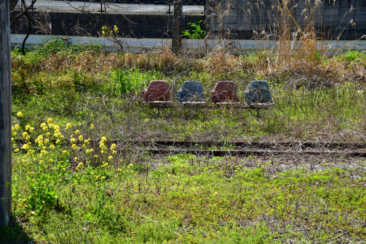 撮影・春・菜の花・平成筑豊鉄道・糒