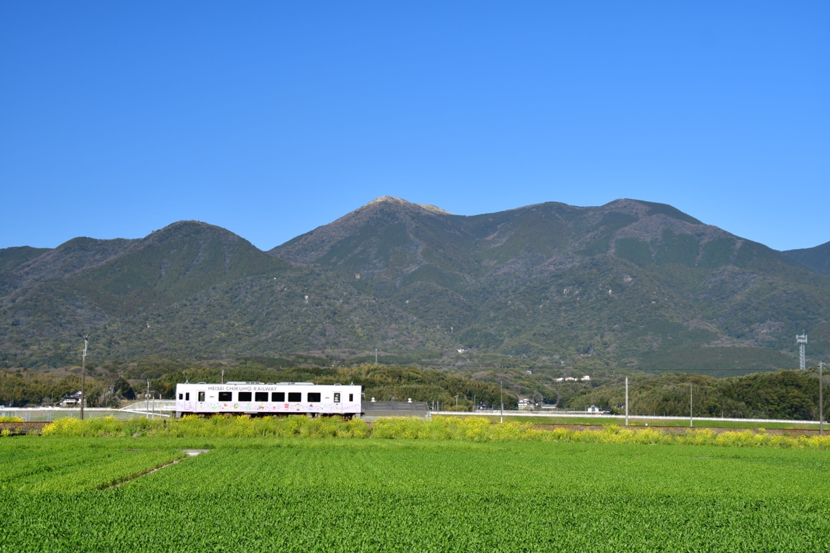 撮影・春・菜の花・平成筑豊鉄道・市場