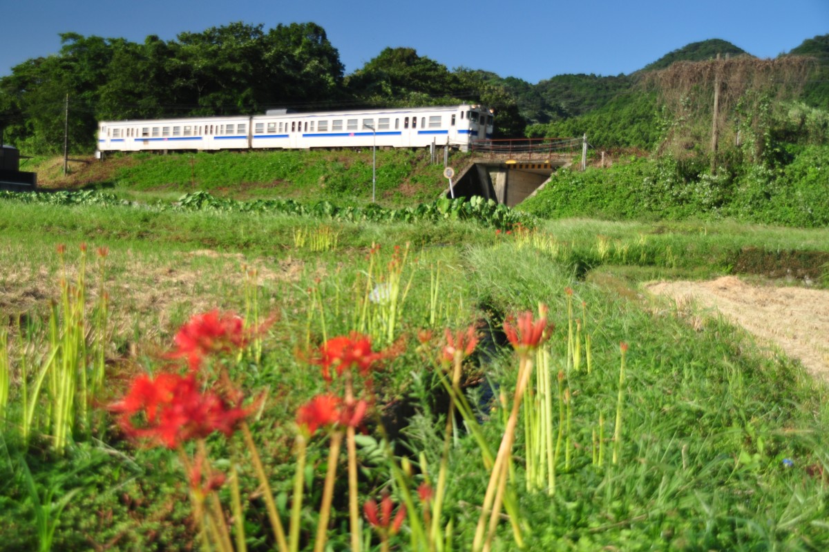 撮影・日田彦山線・石原町－呼野