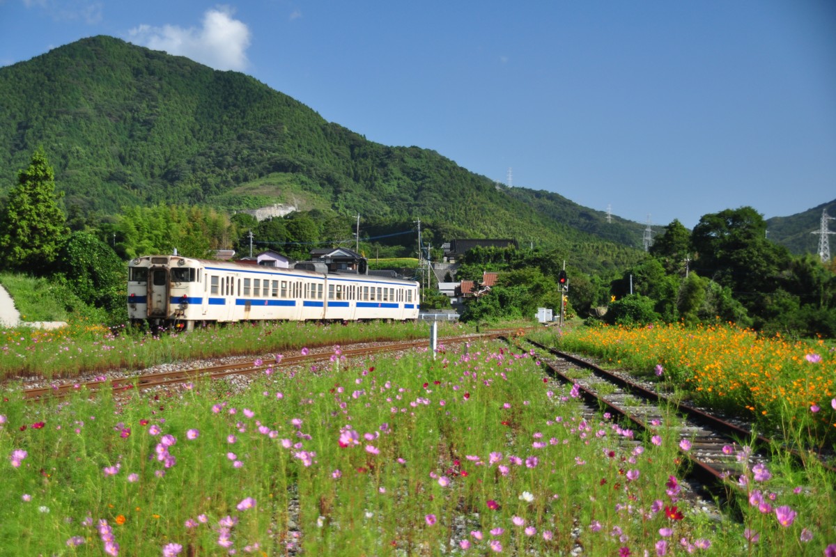 撮影・日田彦山線・採銅所