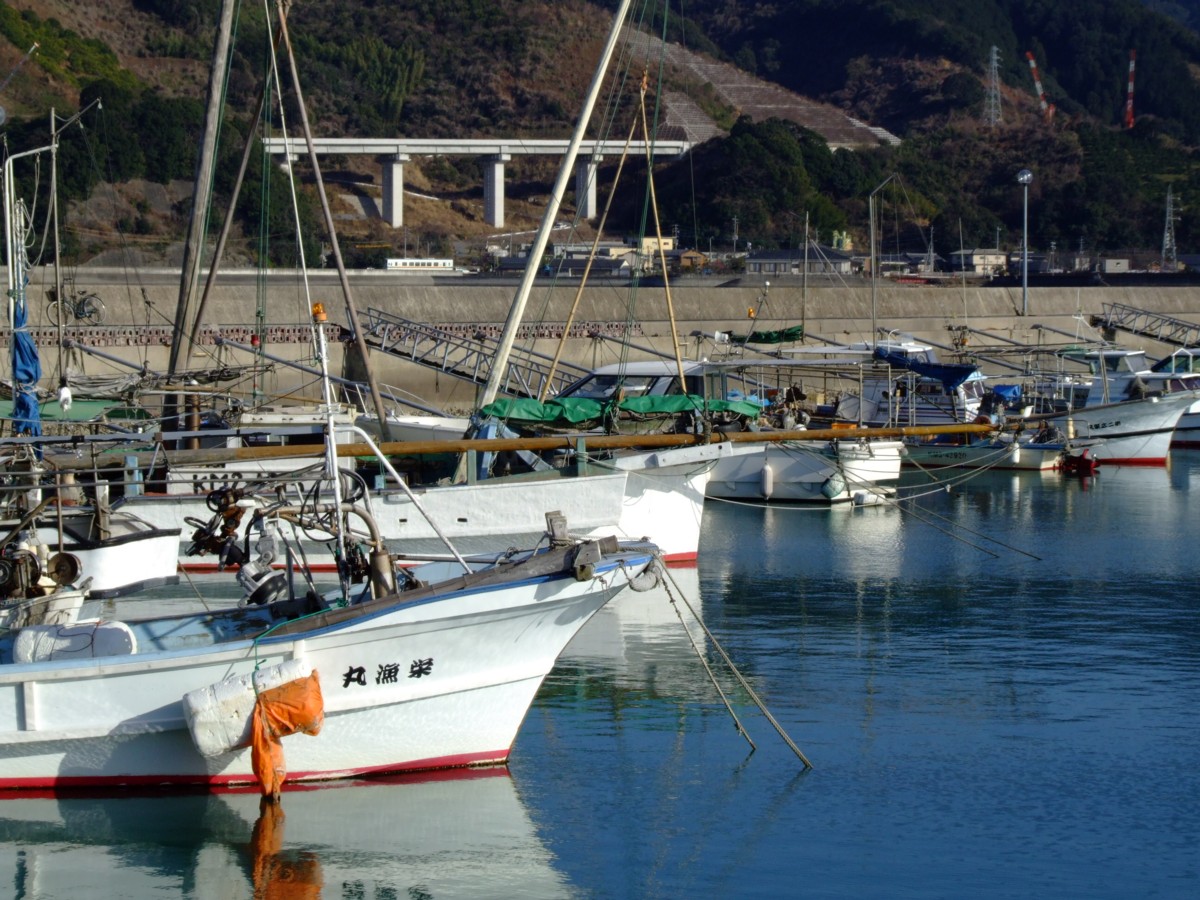 撮影・肥薩おれんじ鉄道・たのうら御立岬公園－肥後田浦