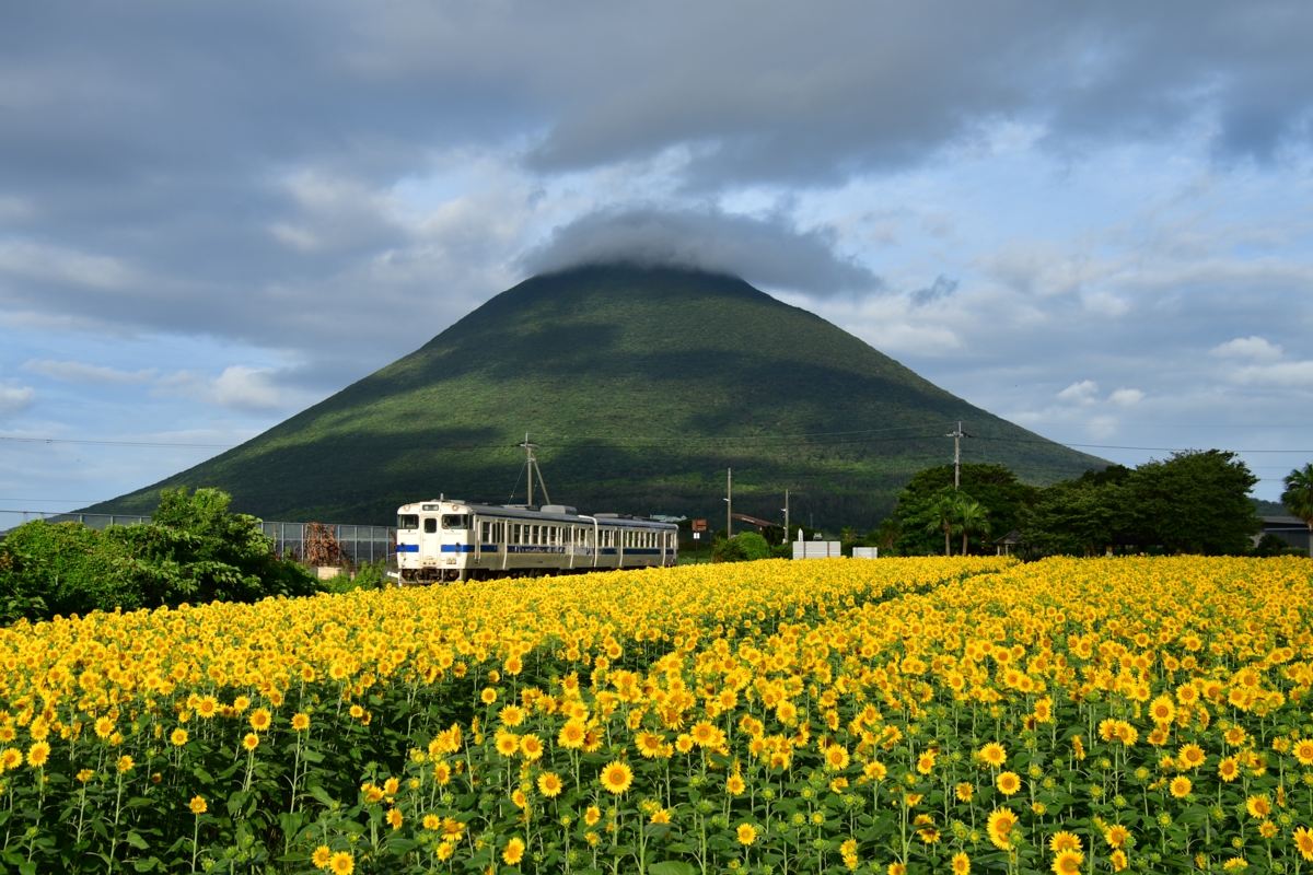 撮影・指宿枕崎線・西大山