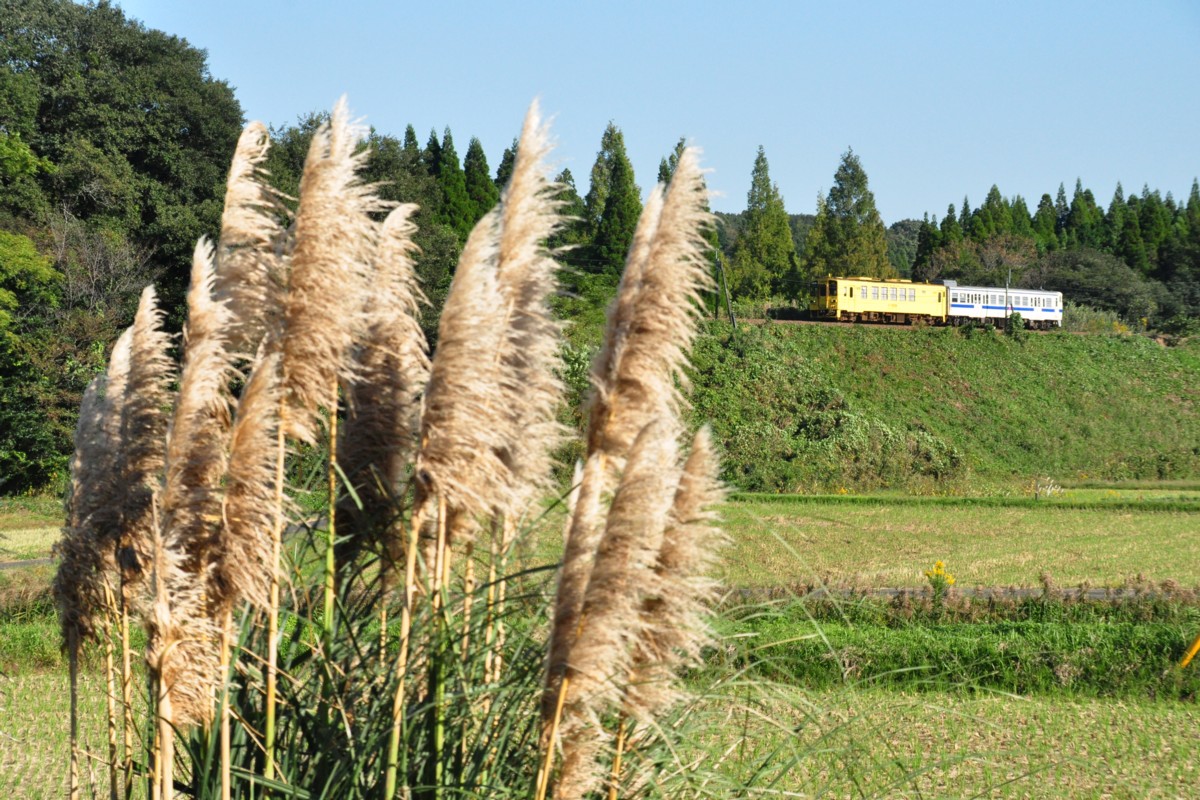 撮影・唐津線・多久－厳木