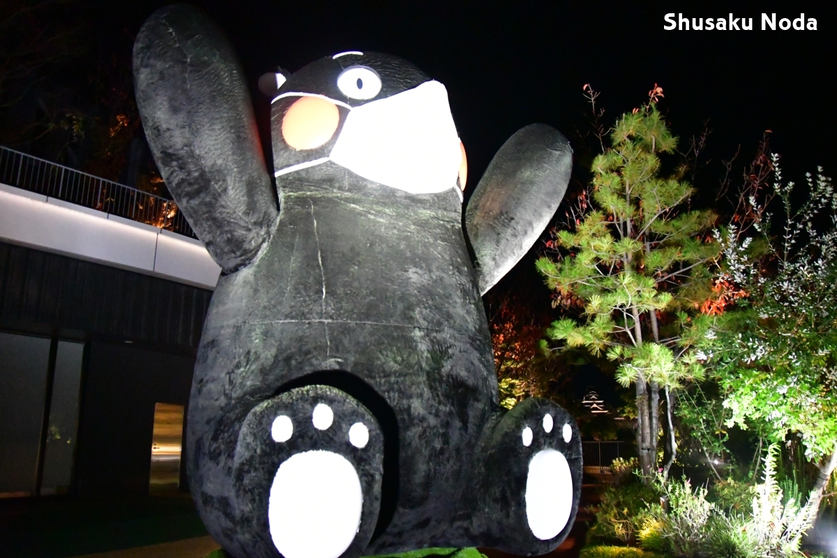鉄道写真・夜景・路面電車・撮影地：熊本市電・辛島町