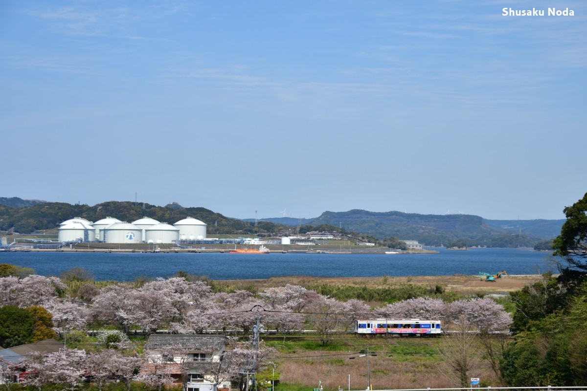 鉄道写真・桜・春・撮影地：松浦鉄道・浦ノ崎