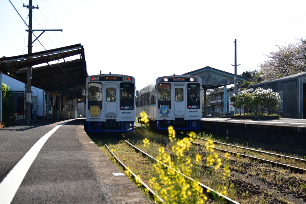 鉄道写真・春・撮影地：松浦鉄道・たびら平戸口