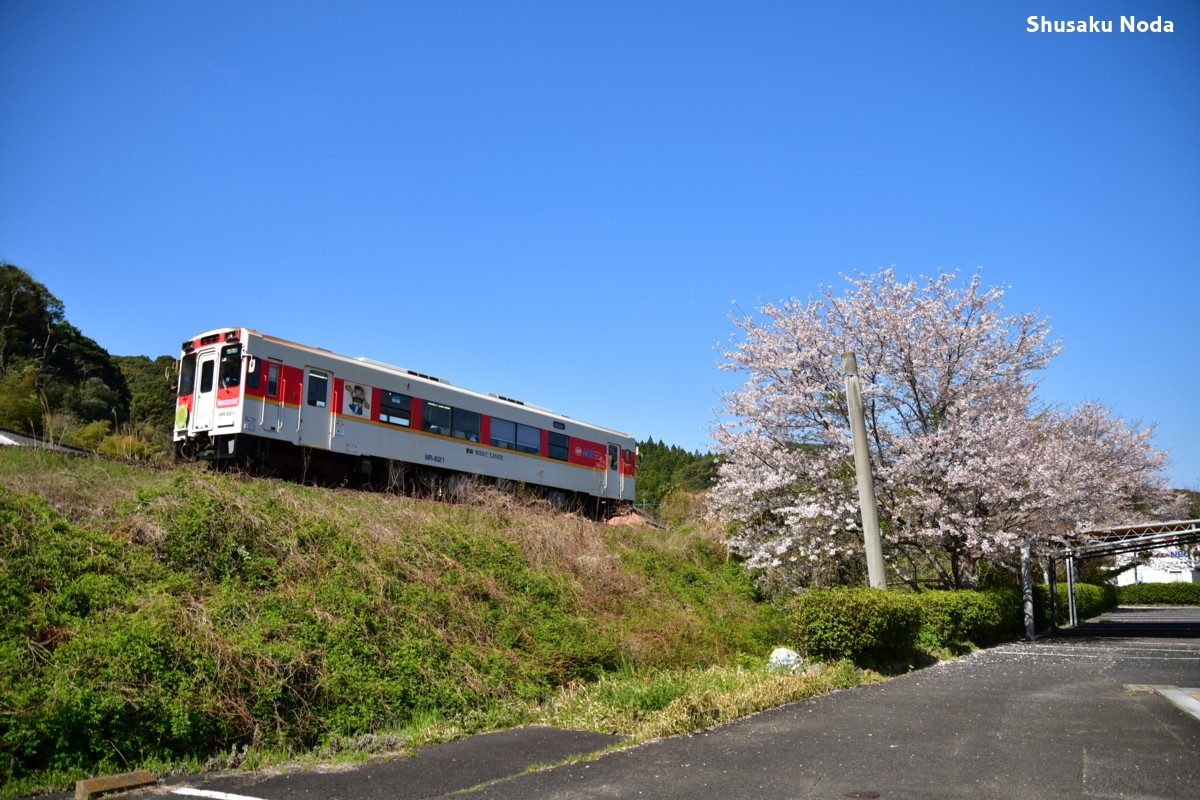 鉄道写真・桜・春・撮影地：松浦鉄道・江迎鹿町－高岩