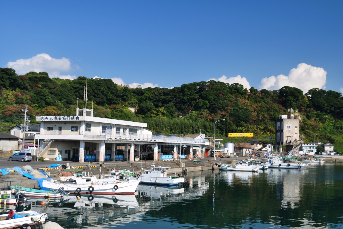 撮影・日南線・大隅夏井－志布志