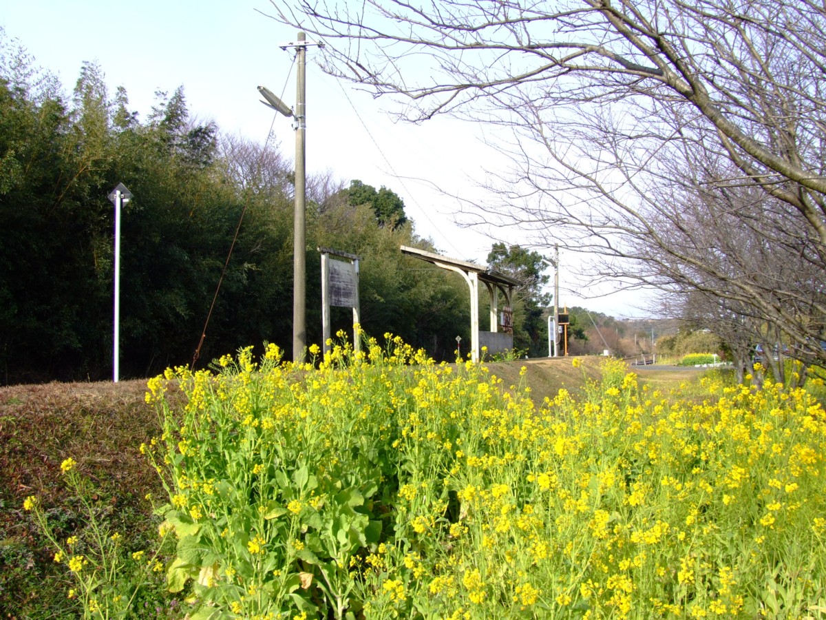 撮影・指宿枕崎線・開聞
