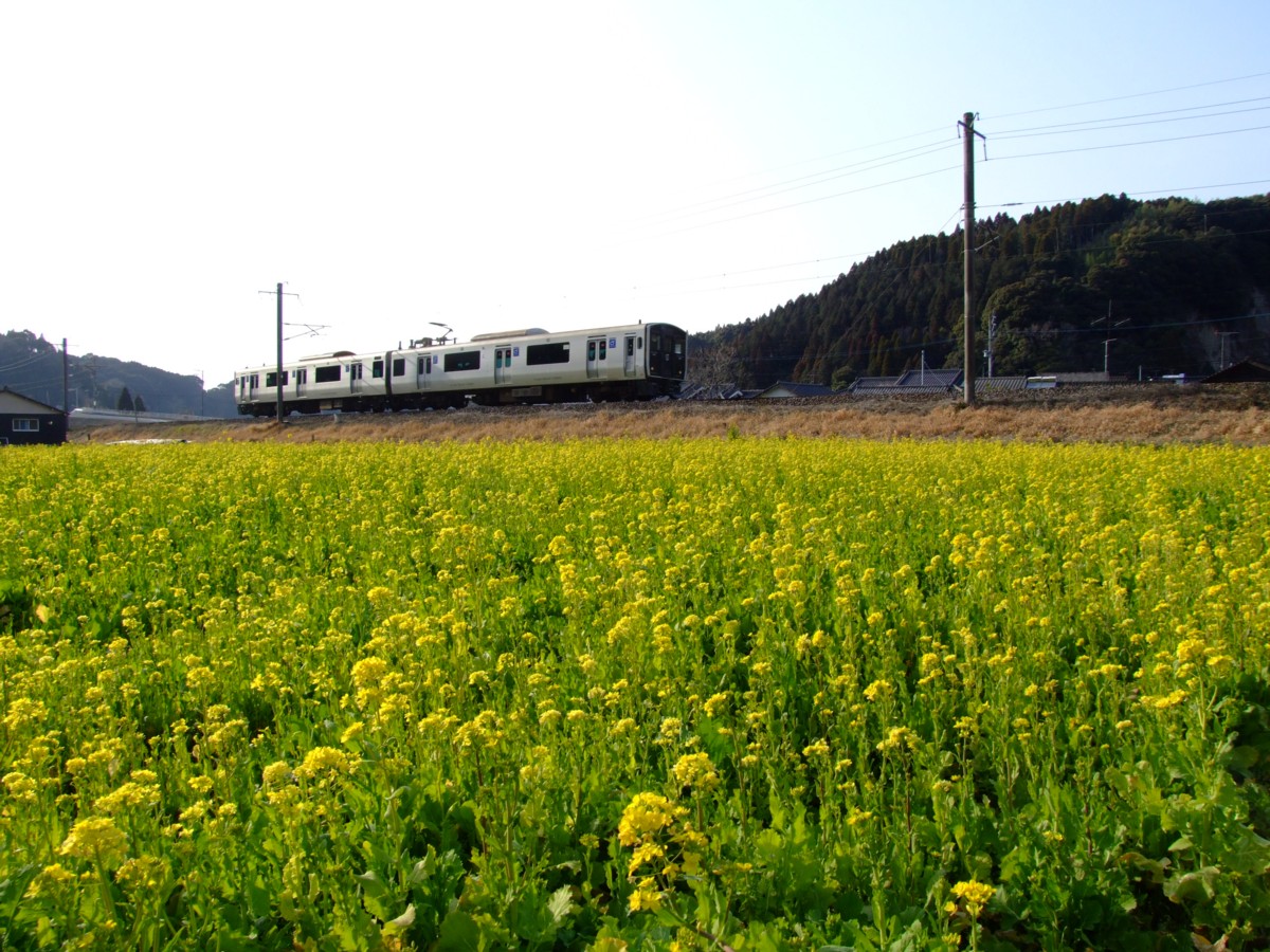 撮影・日豊本線・霧島神宮－国分