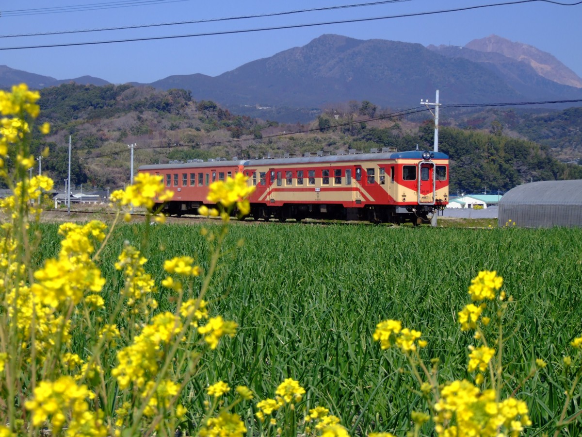 撮影・島原鉄道・常光寺前