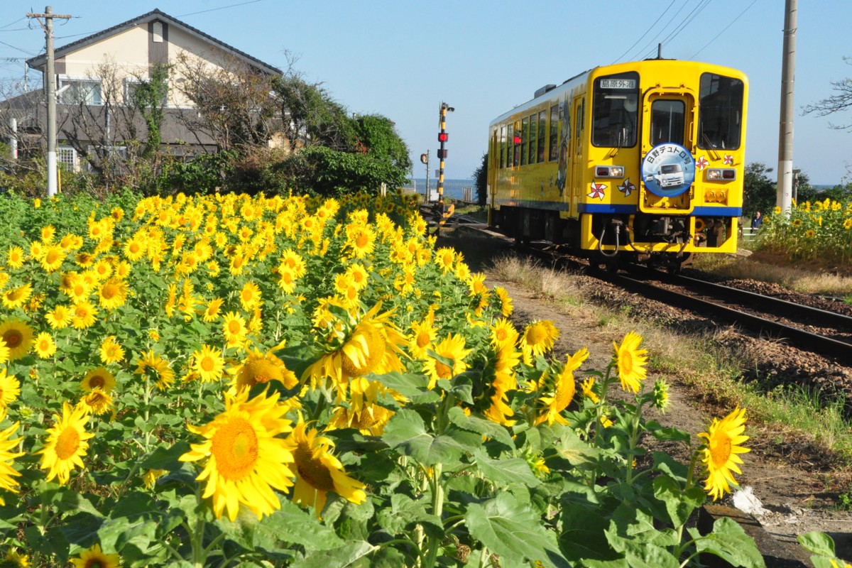撮影・島原鉄道・大三東